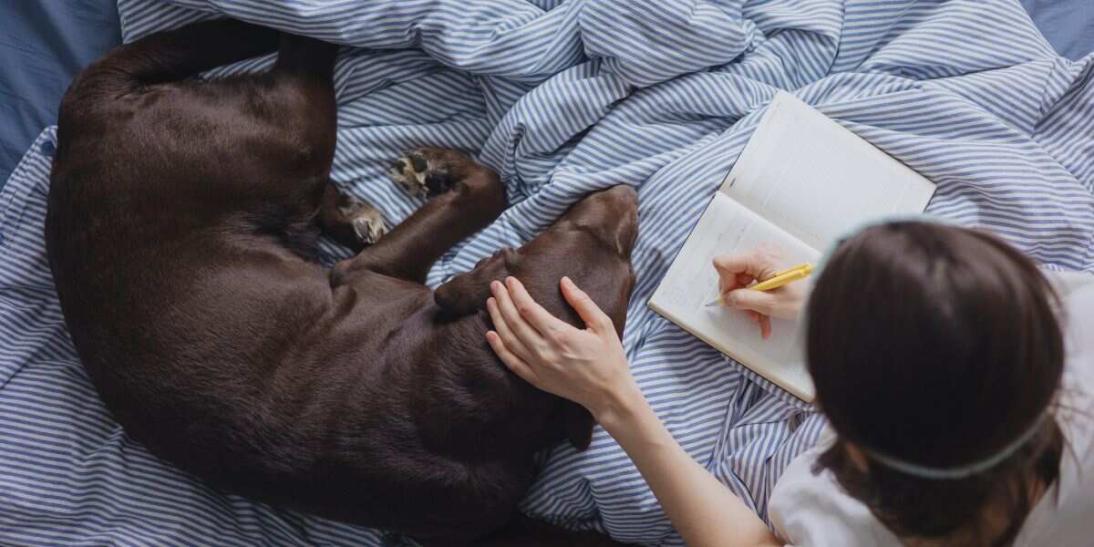 5 Cosy Screen-free Wind-down Routines to Help Busy Parents Breathe